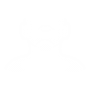 Maxilofacial icono maxorl 1